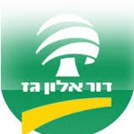 דור-אנרגיה